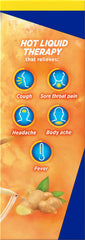 Theraflu Cold Relief, Severe, Honey Ginger Flavor, Packets