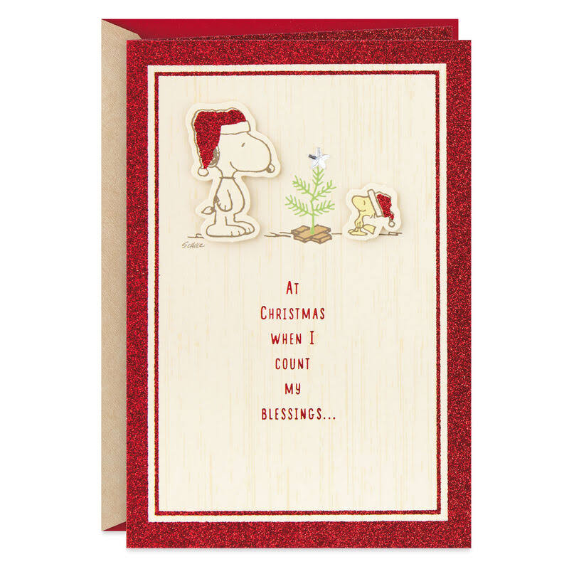 Hallmark Christmas Card, Peanuts Snoopy and Woodstock Counting My Blessings Christmas Card