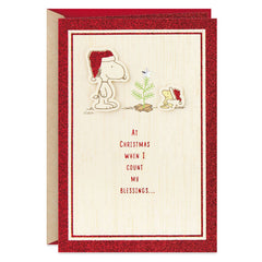 Hallmark Christmas Card, Peanuts Snoopy and Woodstock Counting My Blessings Christmas Card