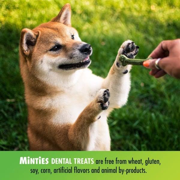 VetIQ Tiny & Small Minties Dog Dental Bone Chew - 40 Ct