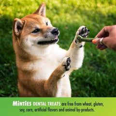VetIQ Tiny & Small Minties Dog Dental Bone Chew - 40 Ct