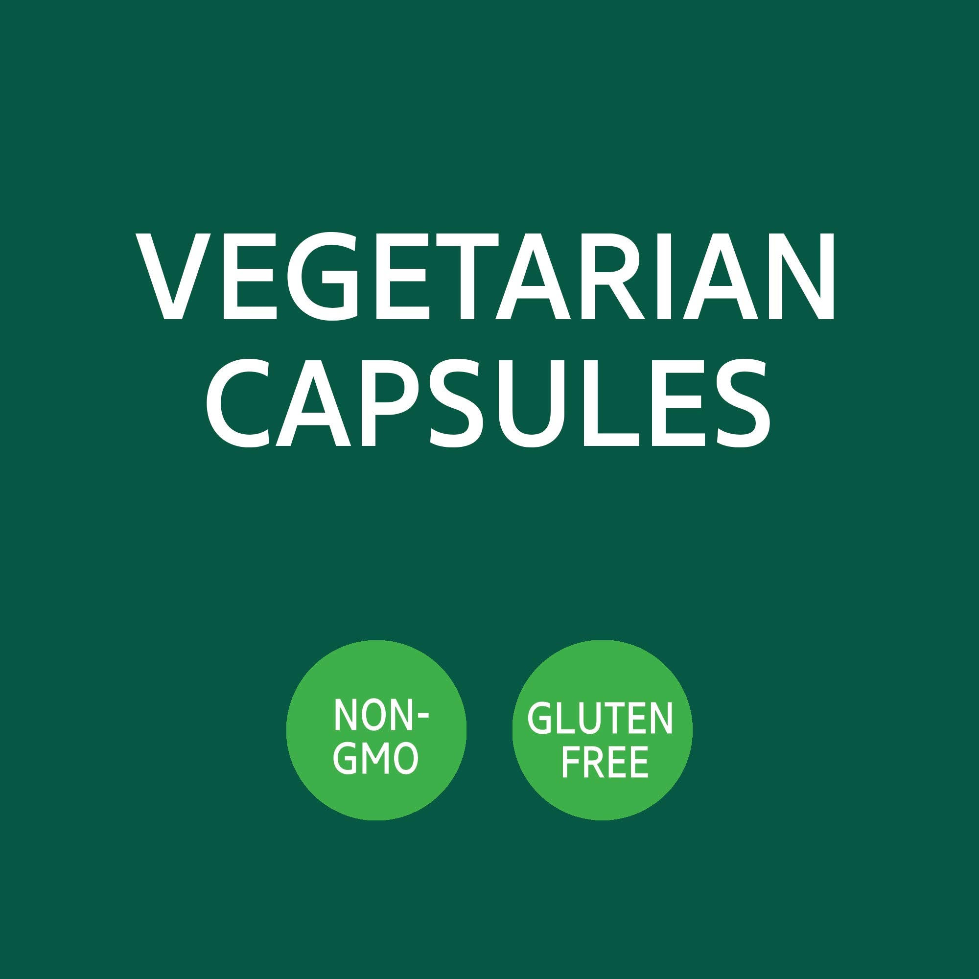21st Century Horse Chestnut Extract, 60 Vegetarian Capsules