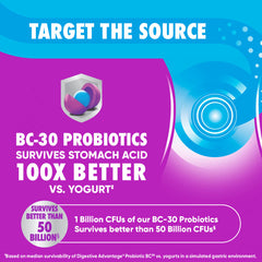 Digestive Advantage Probiotic Gummies, Natural Fruit - 60 count
