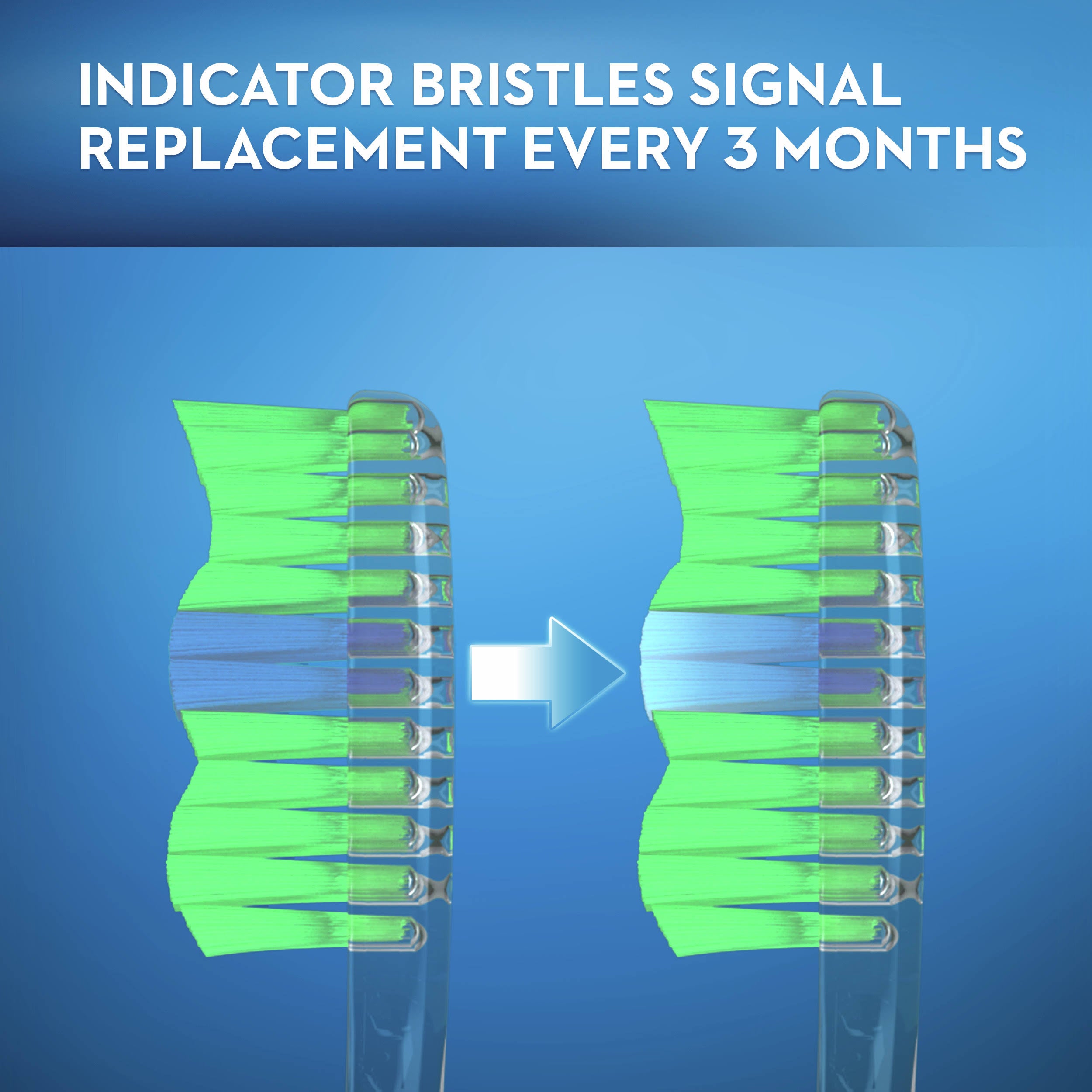 Oral-B Indicator Color Collection Toothbrush Medium