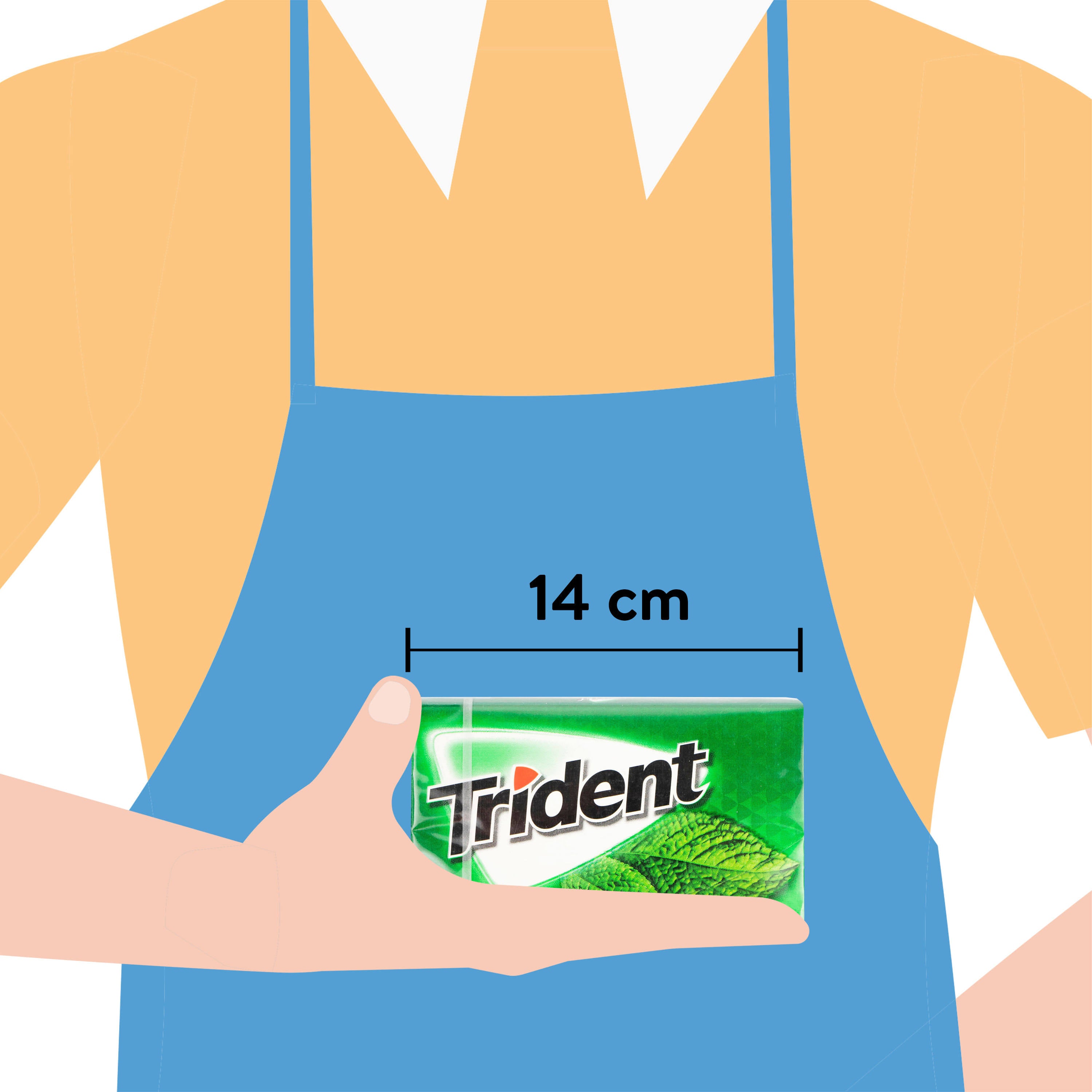 Trident Sugar Free Spearmint Gum 14 Count Package