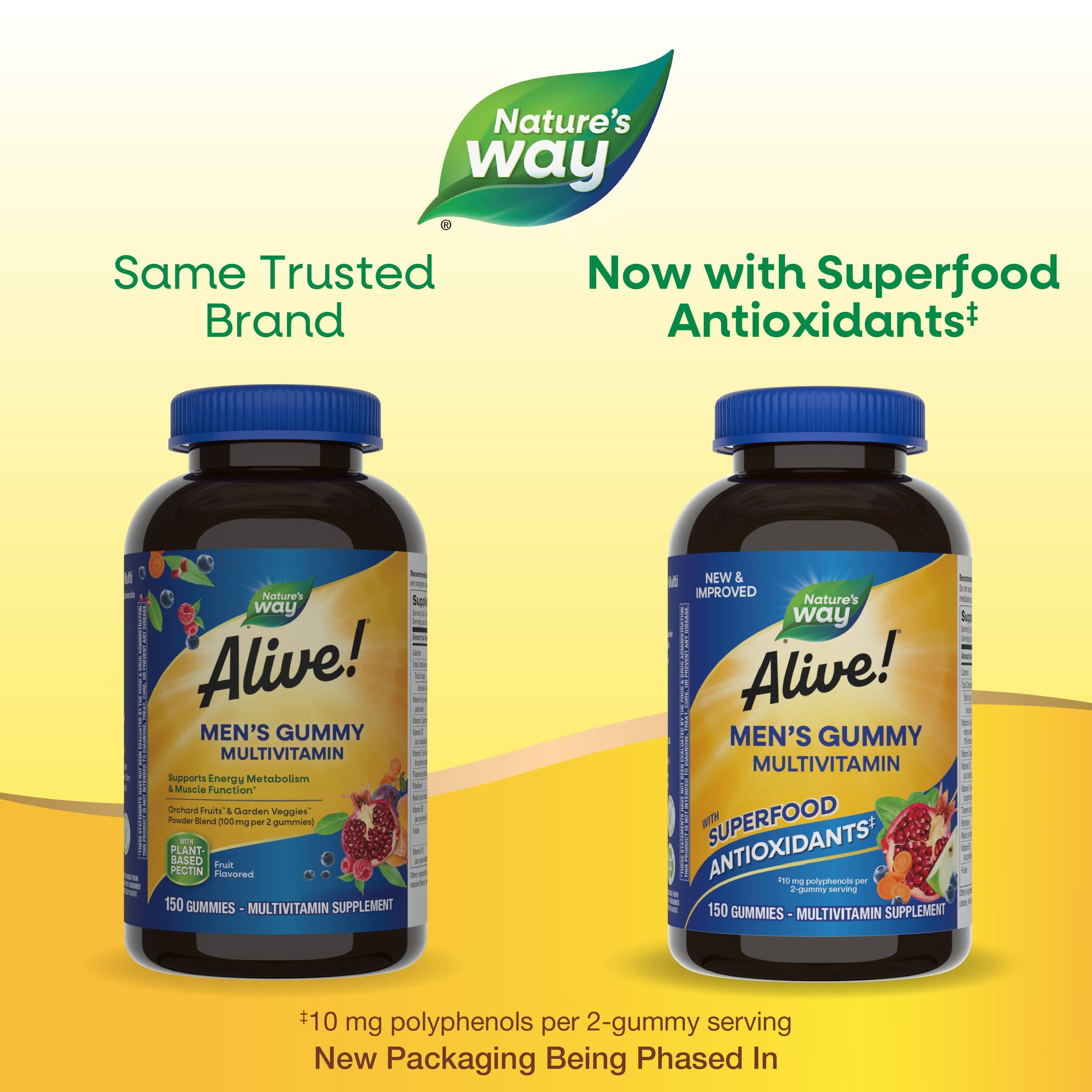 Alive! Men's Gummy Multivitamin | Nature's Way 60 Gummies / Fruit