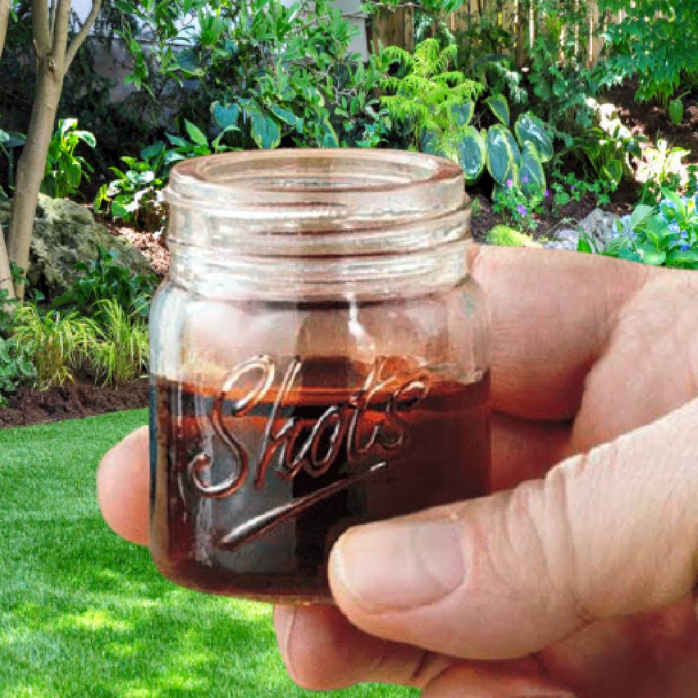 3 oz. Novelty Redneck Shot Glass Countertop Display