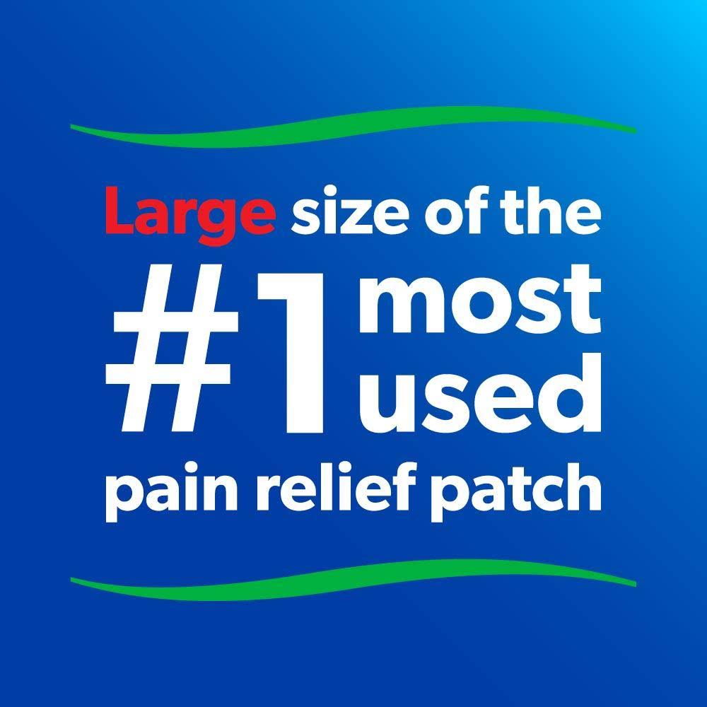 Salonpas Pain Relieving Patch - 60 Patches