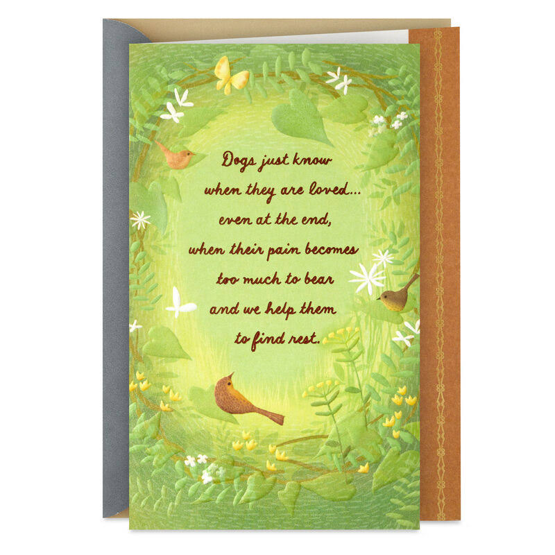 Expressions Greeting Card - 1 Each